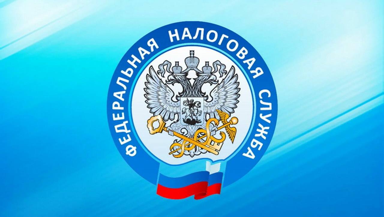 Открыть бизнес за один день