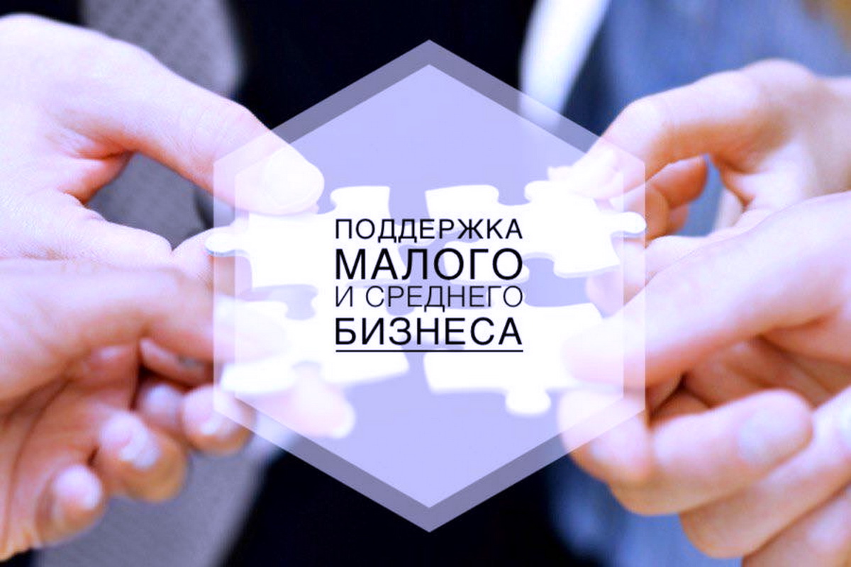 Постановление Правительства Пензенской области "О мерах по поддержке субъектов малого и среднего предпринимательства"