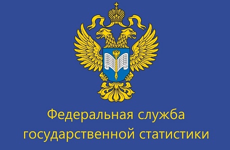Опрос об удовлетворенности пользователей официальной статистической информацией